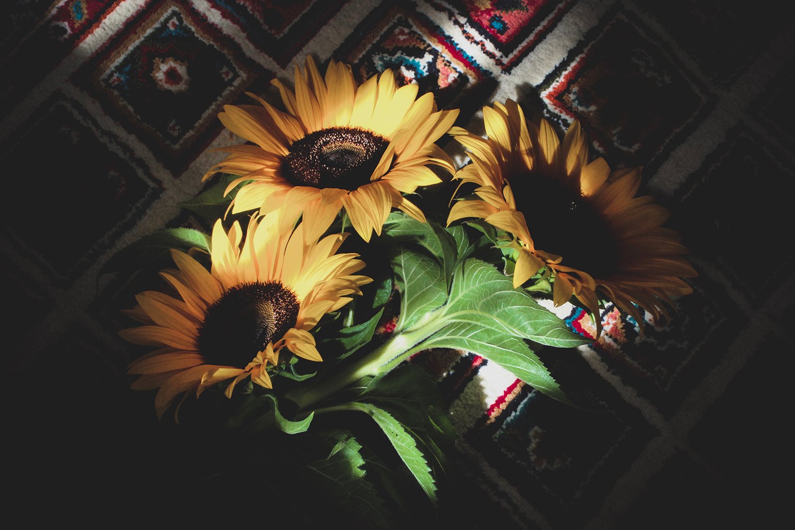 Sunflowers on the carpet